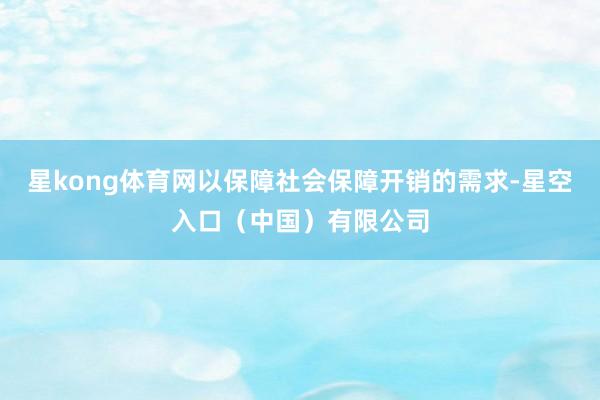 星kong体育网以保障社会保障开销的需求-星空入口（中国）有限公司